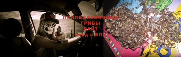скорость Абаза