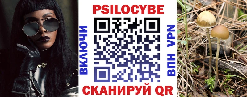 где можно купить наркотик  Алейск  Псилоцибиновые грибы Magic Shrooms 